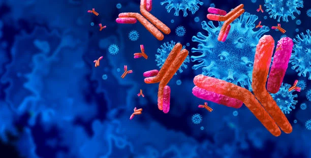 Immunotechnologie — illustration des anticorps et des interactions immunitaires