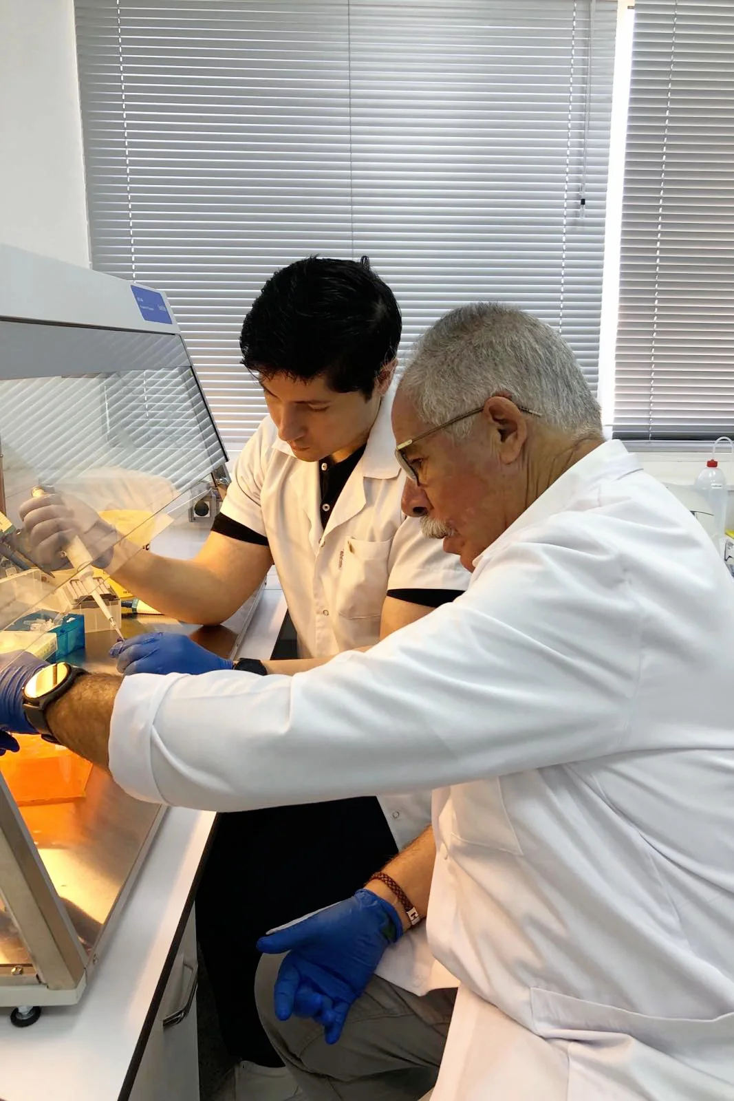 Formation, expertise et recherche