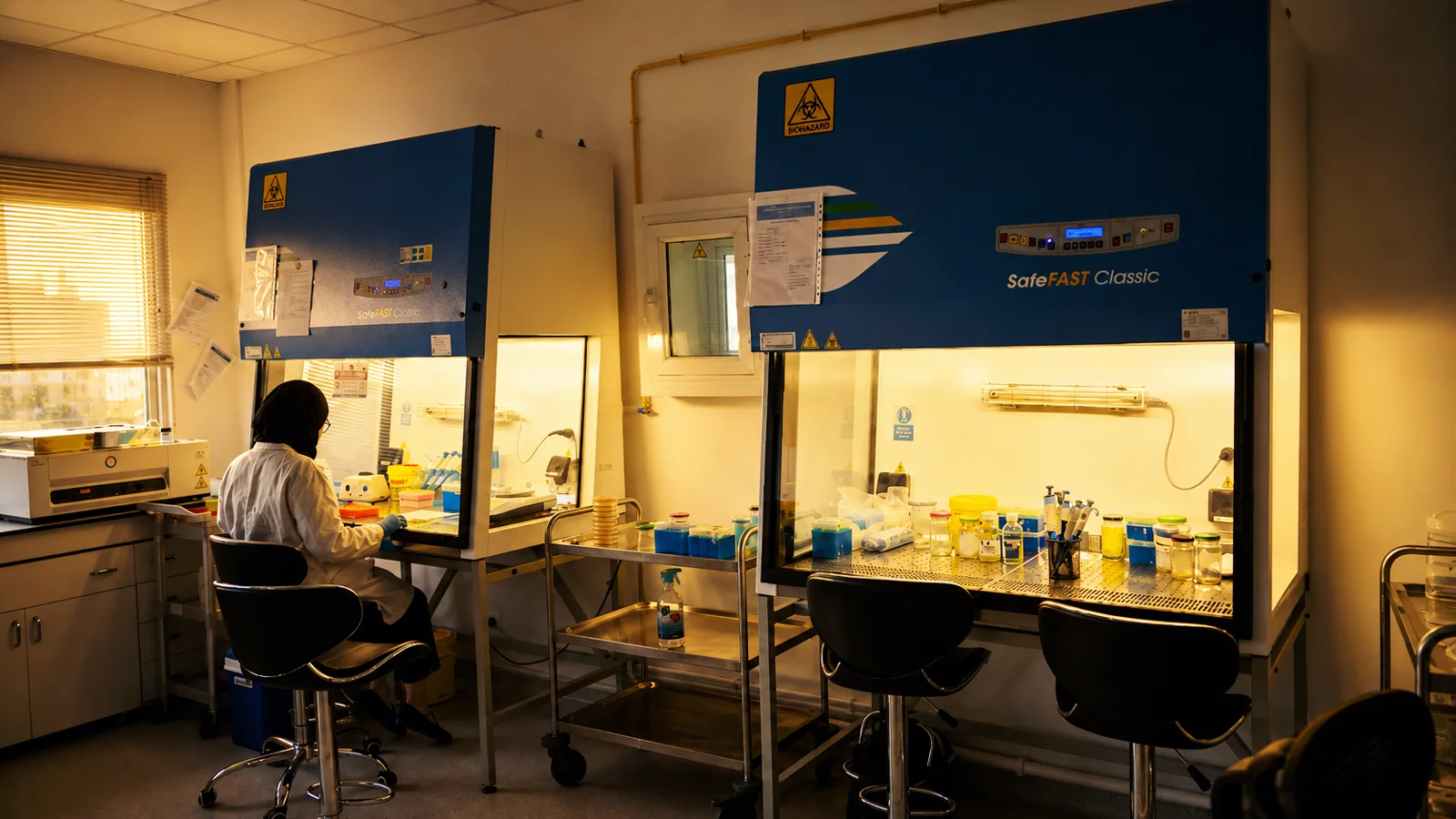Travail en laboratoire à l’ESSBO