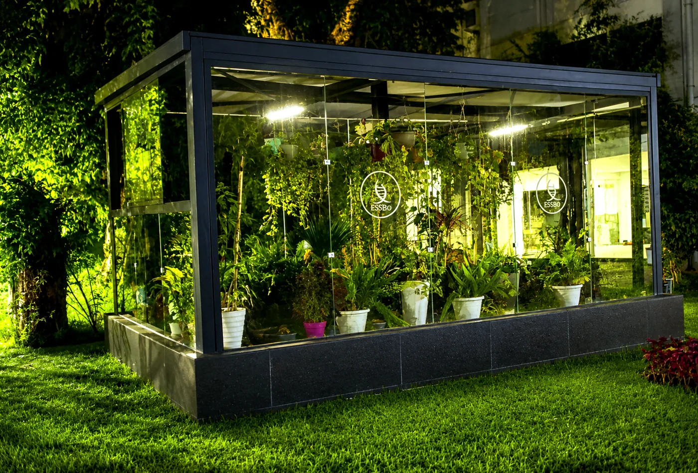 Espace couvert dans les jardins de l’École